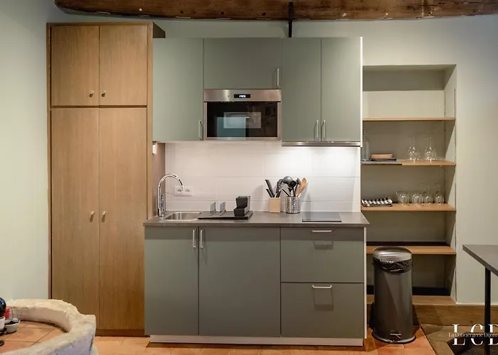 Apartment Le Buffon Dijon