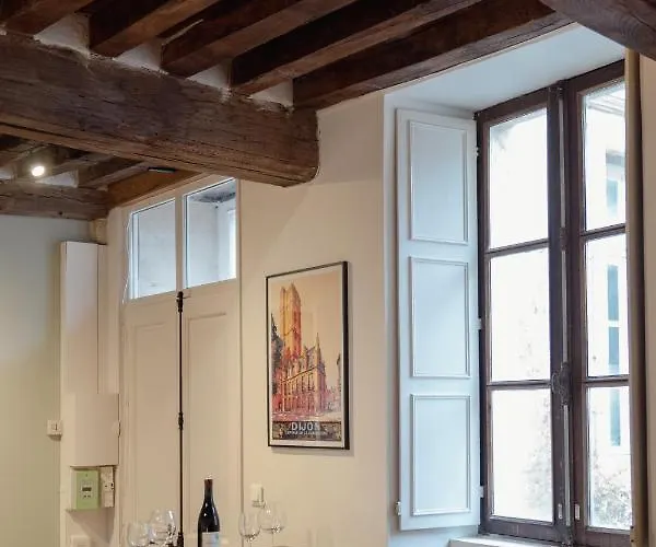 Apartment Le Buffon Dijon